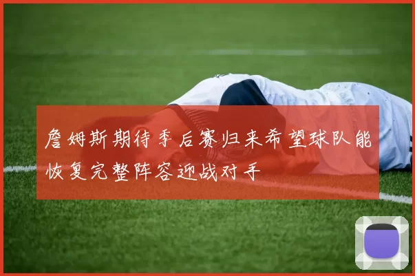 詹姆斯期待季后赛归来希望球队能恢复完整阵容迎战对手