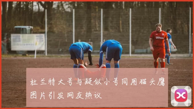 杜兰特大号与疑似小号同用猫头鹰图片引发网友热议